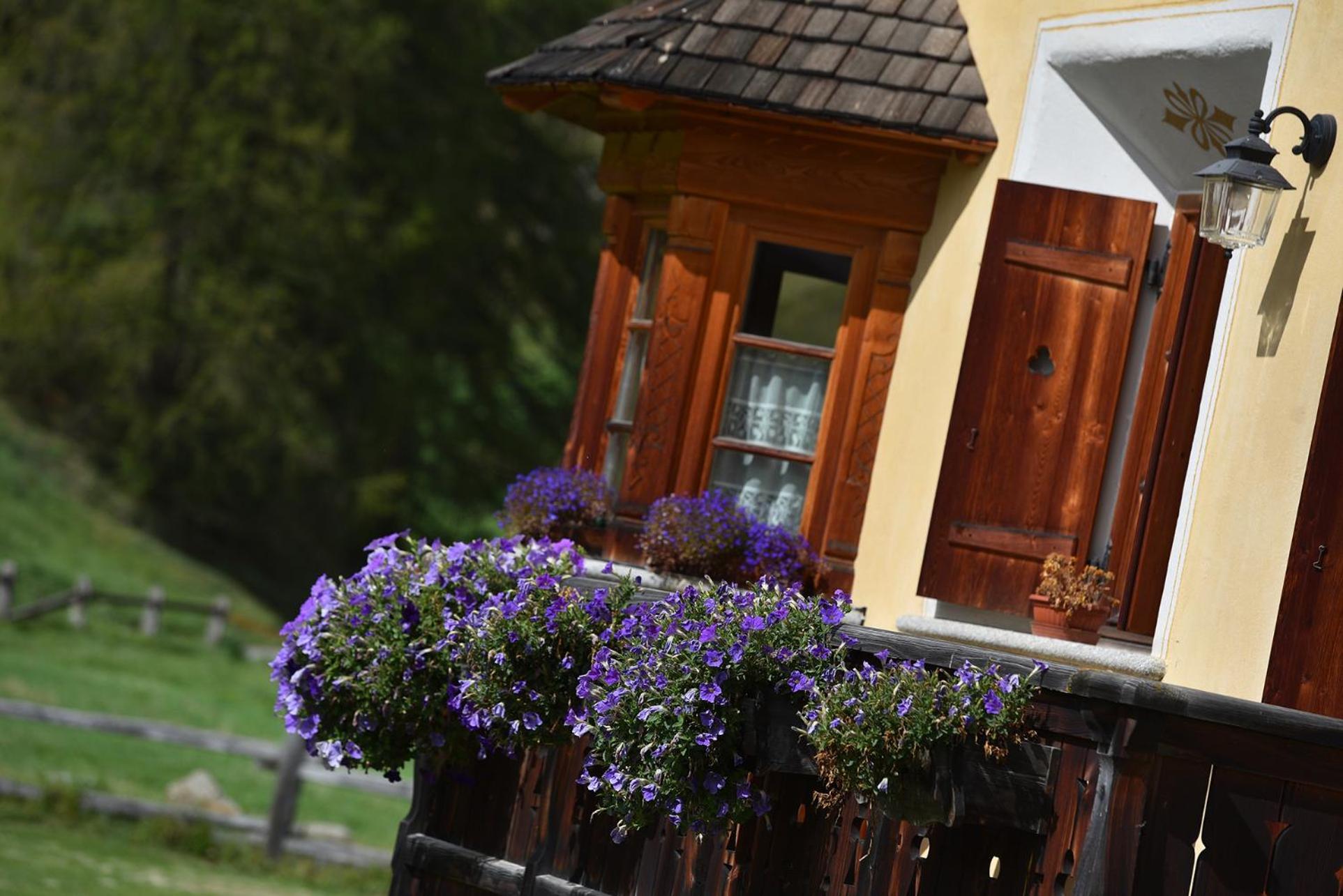 Bait Dal Canton Livigno Exterior foto